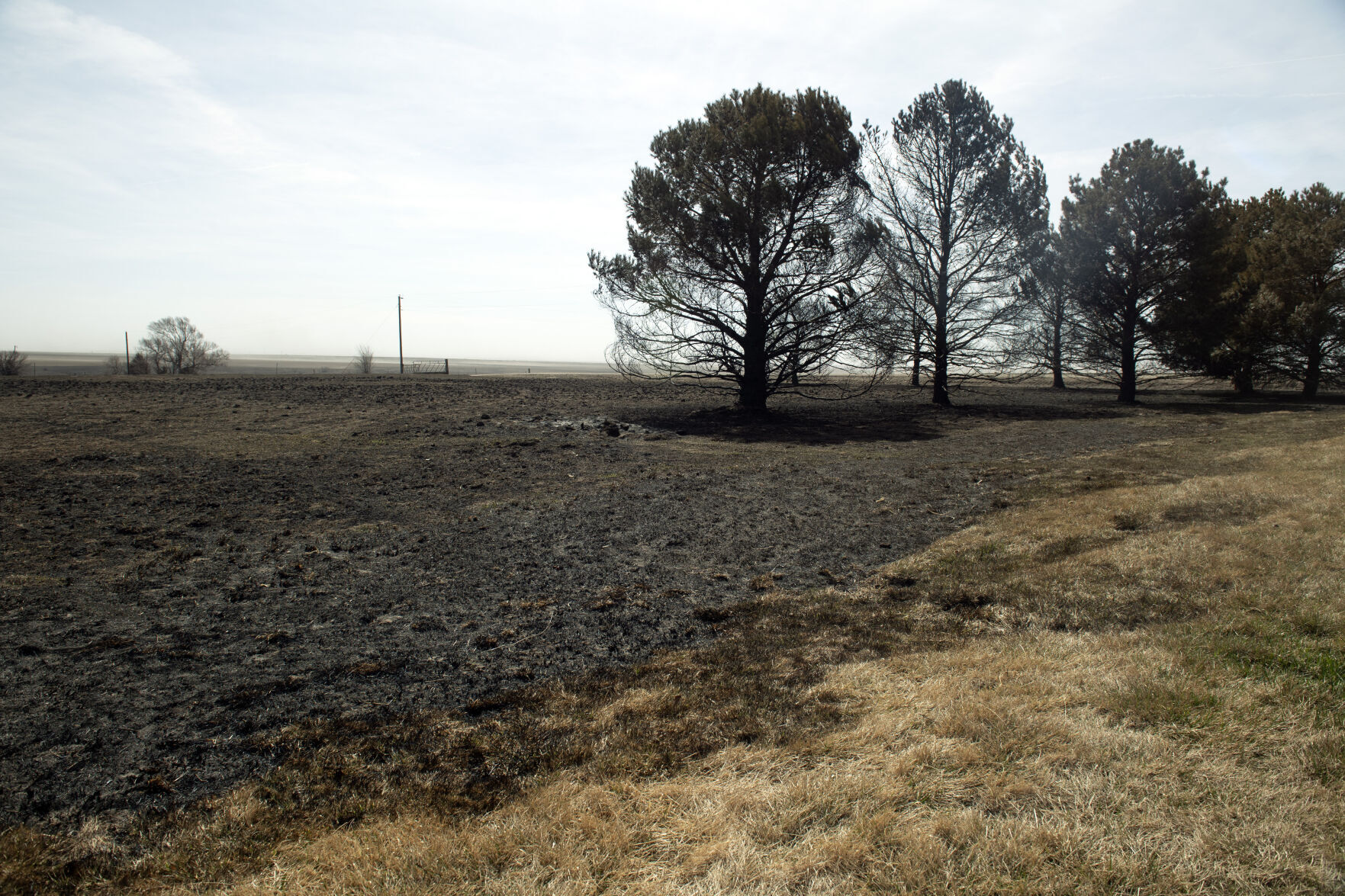 Wildfire, 4.12